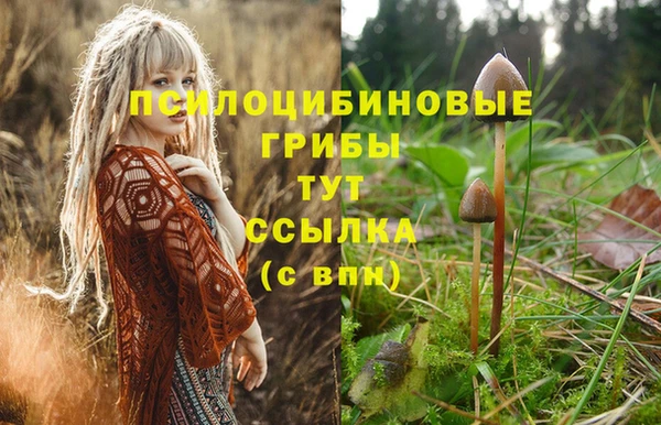 спиды Куйбышев