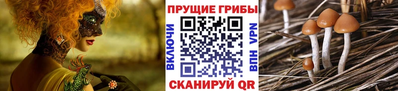 Псилоцибиновые грибы Magic Shrooms Купить где Курильск
